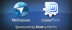 Blue Systems - Netrunner